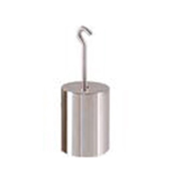 Ohaus 80850134 Astm Class 6- Hooked Individual Weights- Stainless Steel - 100 G