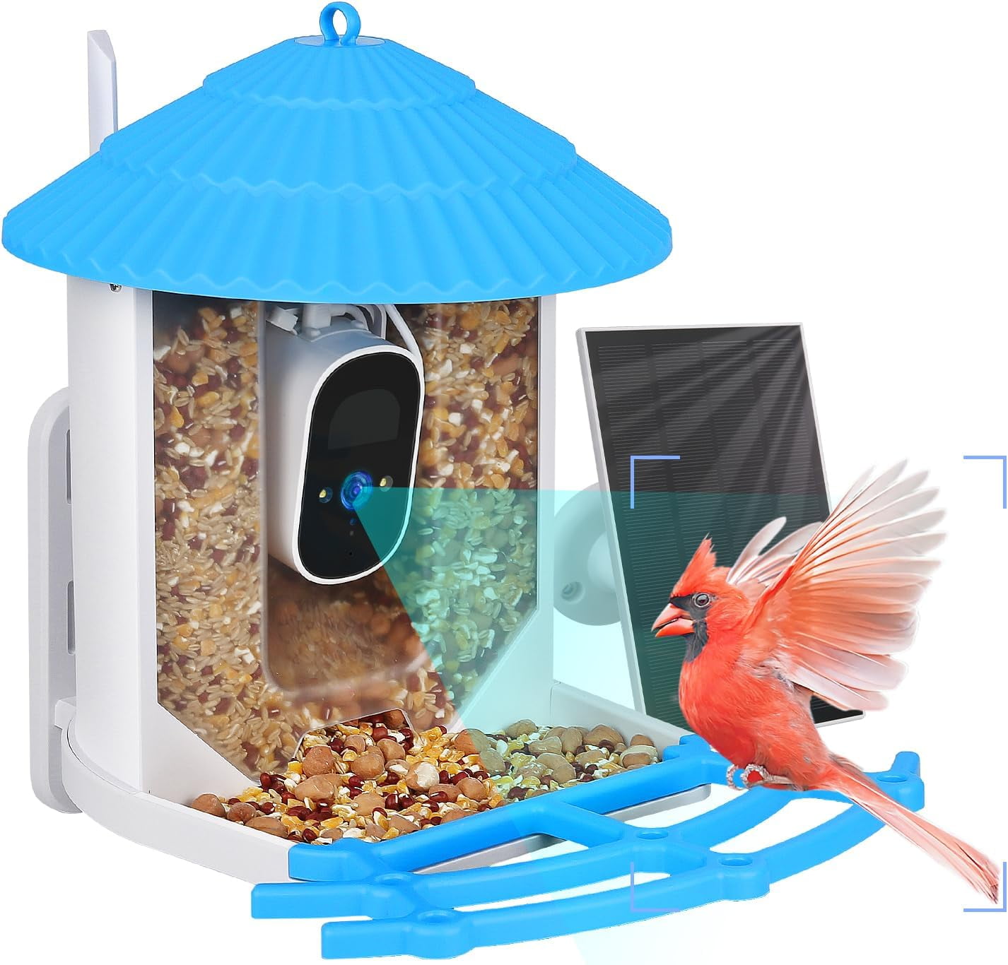 OhhGo Smart Bird Feeder with 4MP Camera Solar Panel for Bird Feeding