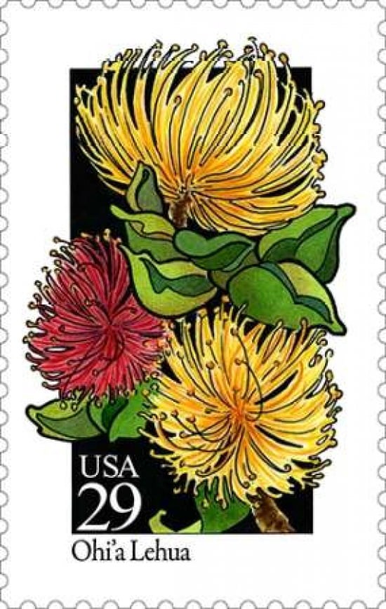 Ohia Lehua Canvas Art - US POSTAL SERVICE (12 x 18)