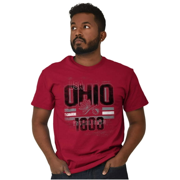 Ohio Buckeye Leaf Nut Distressed Men's Graphic T Shirt Tees Brisco Brands S