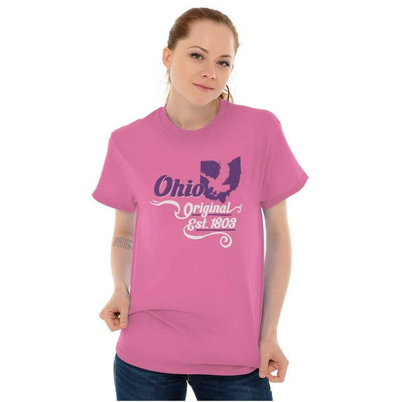 Ohio Cute Eagle State Shape Filagree Women's Plus Size Graphic Tee Brisco Brands 3X