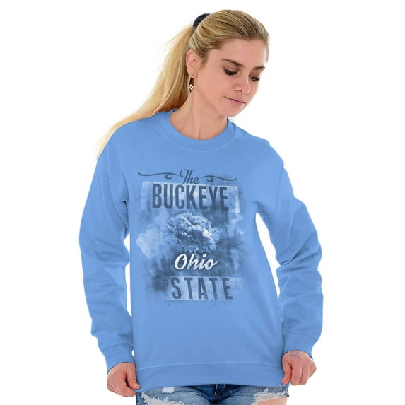 Ohio Cute State Flower Souvenir Women Plus Size Crewneck Sweatshirt Brisco Brands 5X