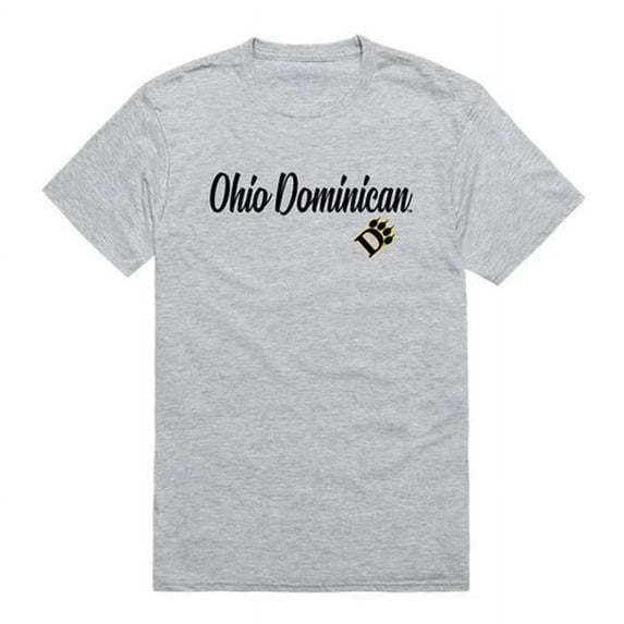 Ohio Dominican University Panthers Script T-Shirt, Heather Grey - Small