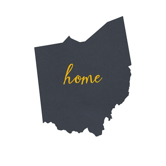 Ohio, Home State, Gray on White (12x18 Wall Art Poster, Room Decor)
