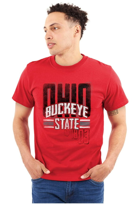 Ohio Hometown Pride OH Local Buckeye Plus Size Crewneck Graphic Tee Shirt Brisco Brands 2X