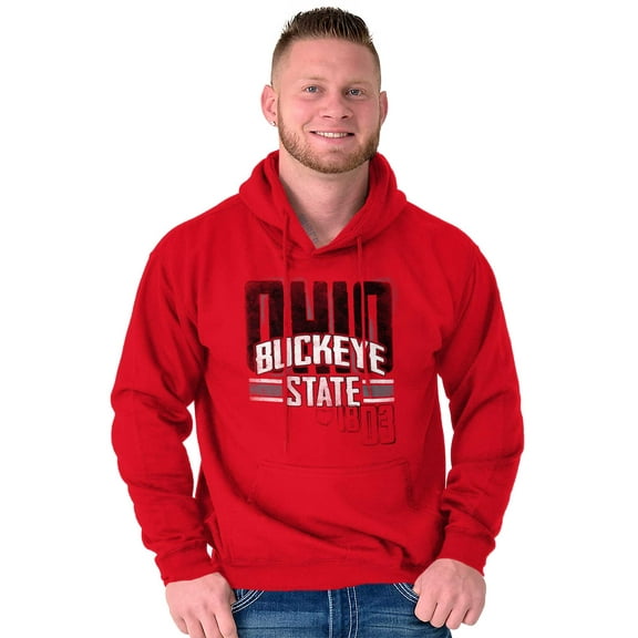 Ohio Hometown Pride OH Local Buckeye Unisex Plus Fleece Graphic Hoodie Brisco Brands 3X