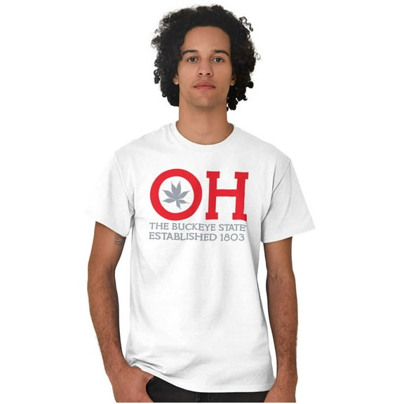 Ohio Leaf it to Us Funny OH Local Men's Graphic T Shirt Tees Brisco Brands X