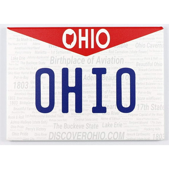 Ohio License Plate Fridge Collector's Souvenir Magnet 2.5" X 3.5"