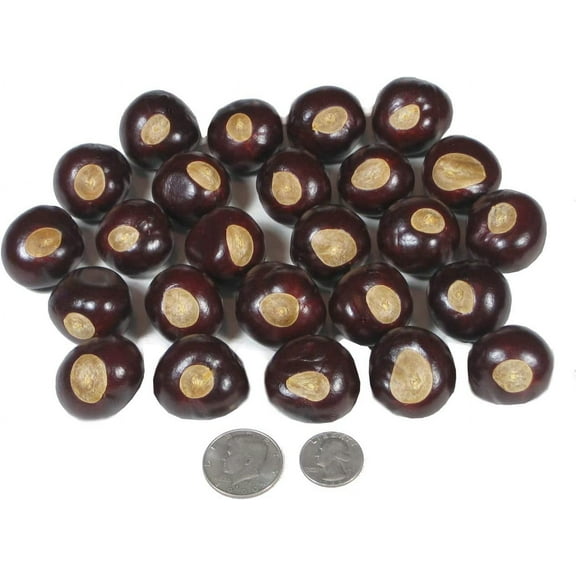 Ohio  Nuts - Large Size s Nuts