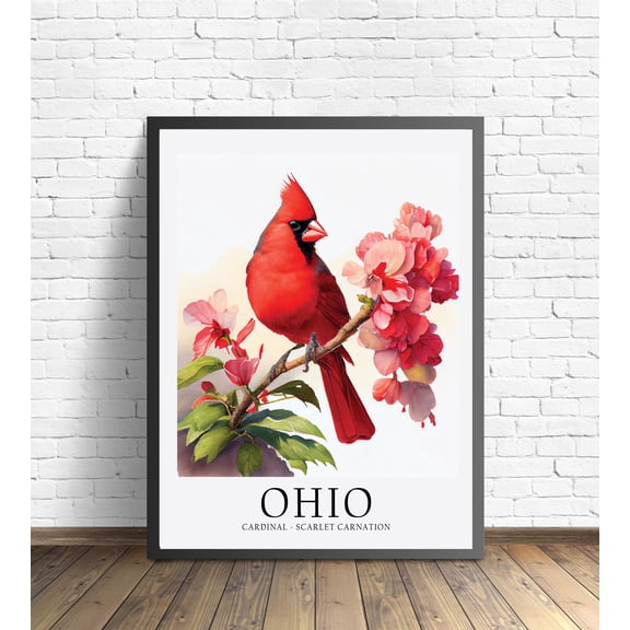 Ohio State Bird And Flower Poster, State Symbol Wall Art Print