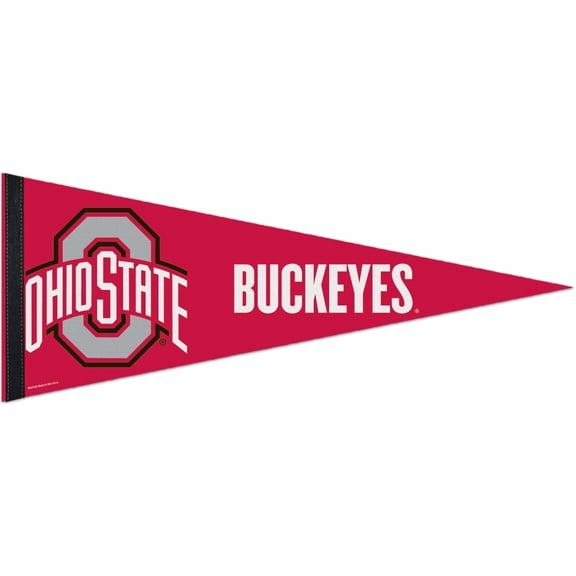 WinCraft Ohio State Buckeyes 12" x 30" Large Logo Premium Pennant