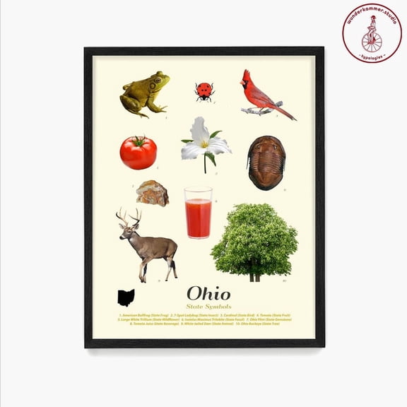 Ohio State Symbols Art Print Typology, Unframed Poster