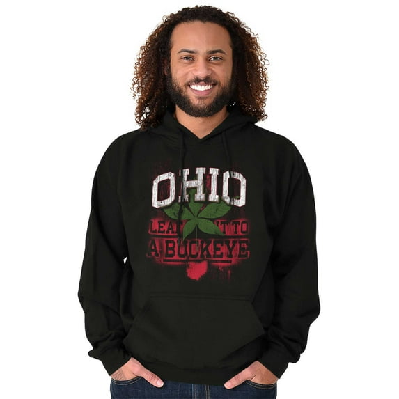 Ohio Stenciled Buckeye Leaf OH Cool Unisex Plus Fleece Graphic Hoodie Brisco Brands 2X