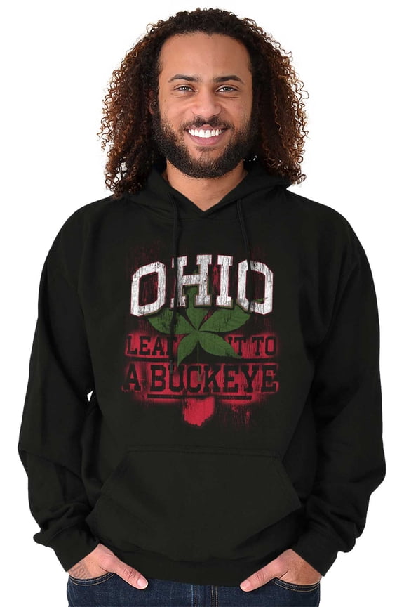 Ohio Stenciled Buckeye Leaf OH Cool Unisex Plus Fleece Graphic Hoodie Brisco Brands 2X