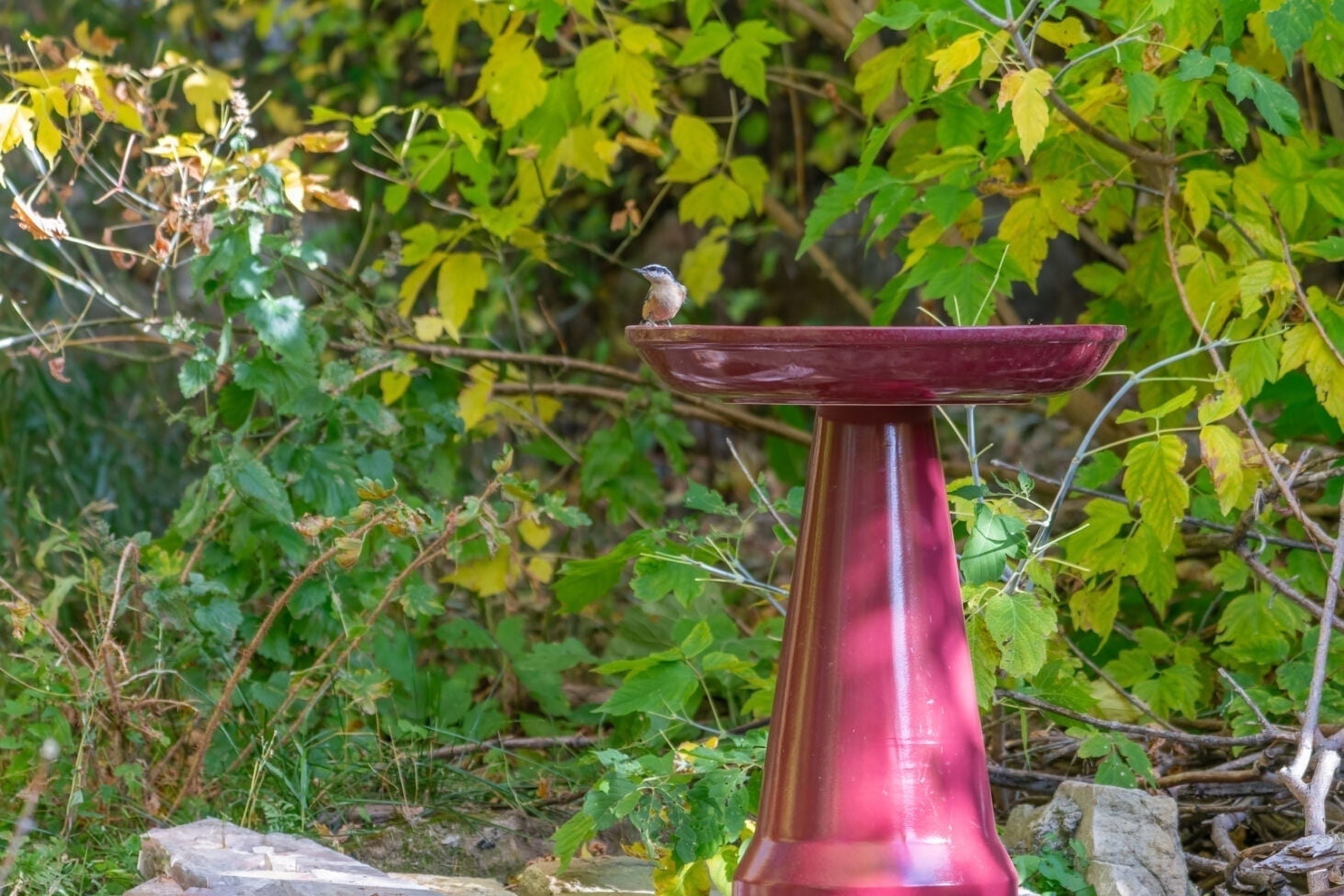 Burgundy Ceramic Clay Pedestal Bird Bath, 22"H x 17"D