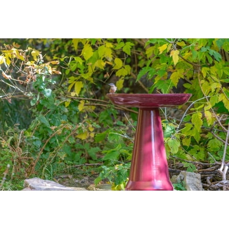 Birds Choice Ohio Stoneware Weather Resistant Ceramic Clay Pedestal Bird Bath, 22"H x 17"D, Burgundy