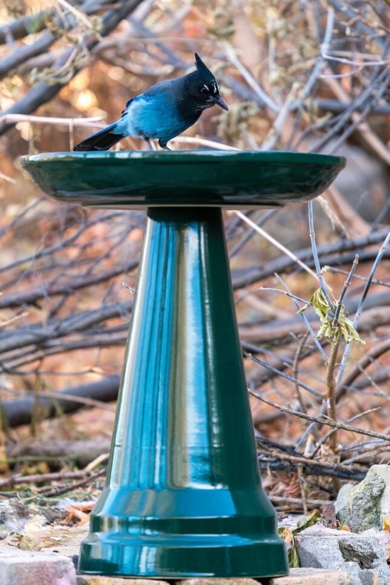 Birds Choice Ohio Stoneware Weather Resistant Ceramic Clay Pedestal Bird Bath, 22"H x 17"D, Hunter Greenreen