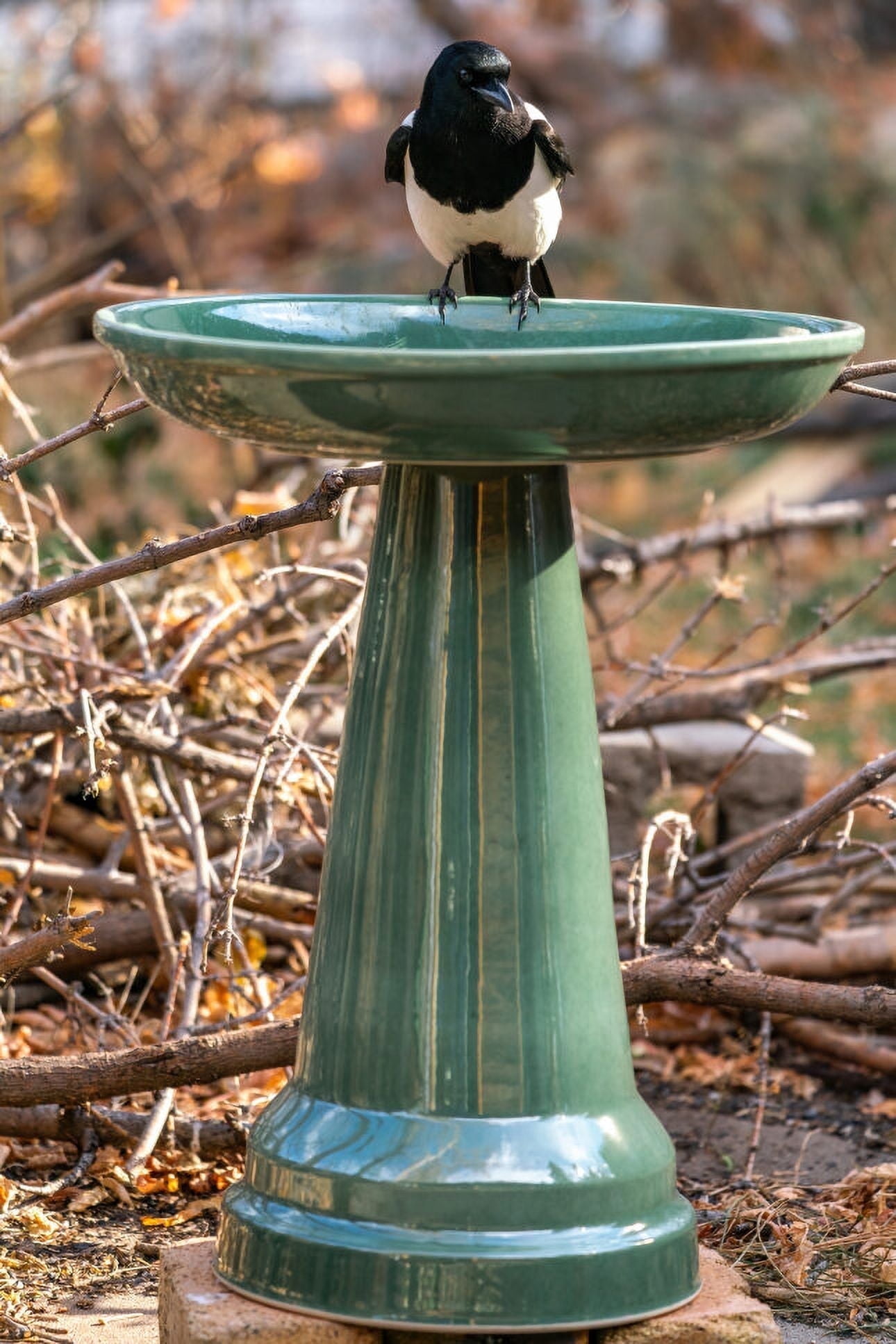 Summer Green Ceramic Pedestal Bird Bath with Locking Top
