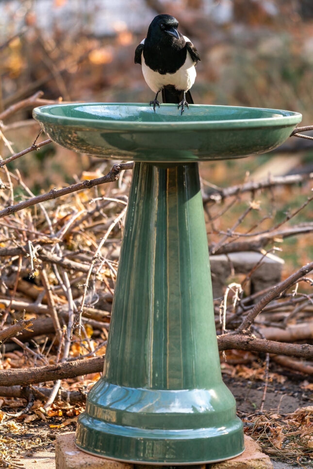 Summer Green Ceramic Pedestal Bird Bath with Locking Top
