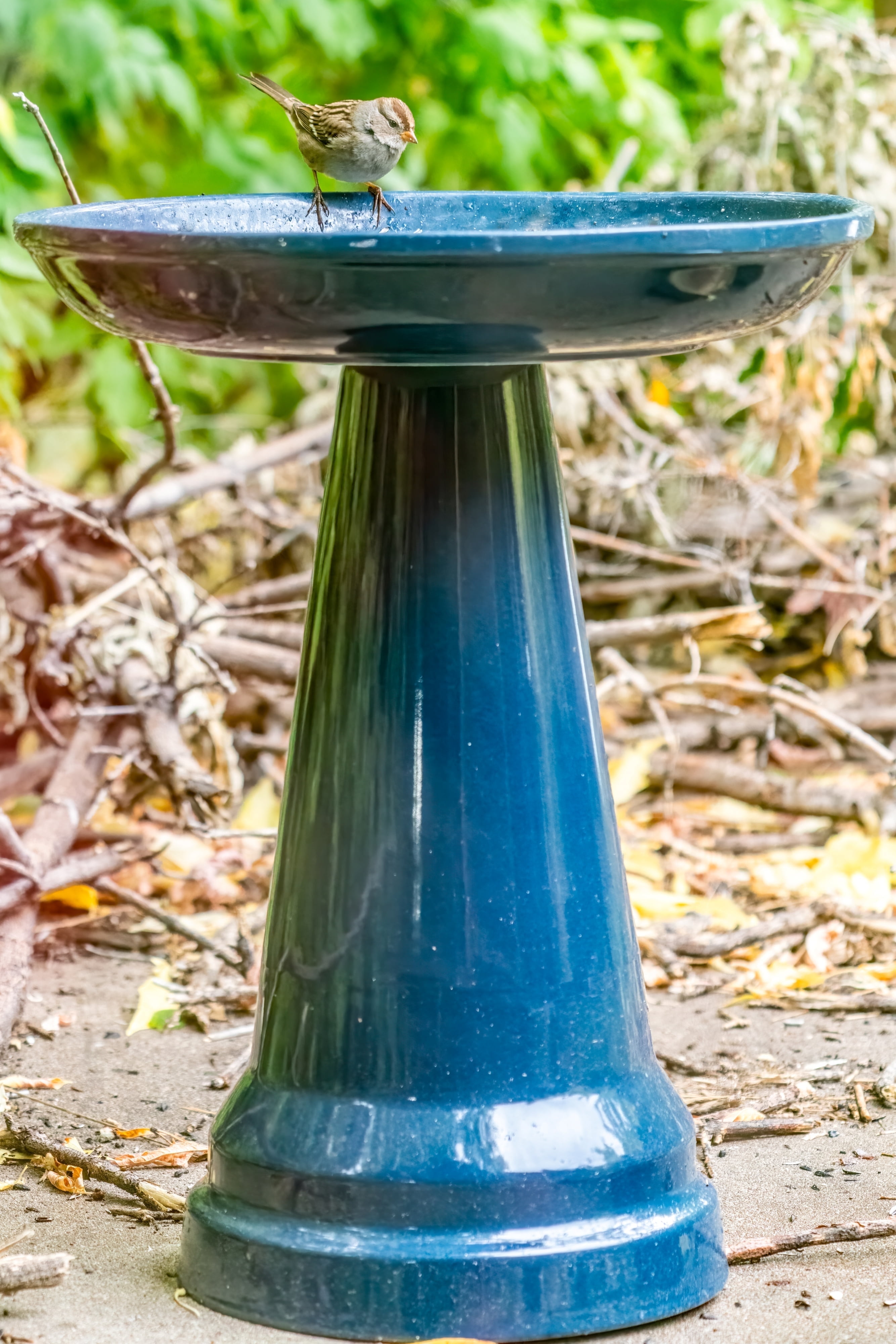 Birds Choice Ohio Stoneware Weather Resistant Ceramic Clay Pedestal Bird Bath, 22"H x 17"D, Midnight Blue