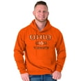 thumbnail image 1 of Ohio Vintage Buckeye Leaf Stencil OH Unisex Plus Fleece Graphic Hoodie Brisco Brands 2X, 1 of 5