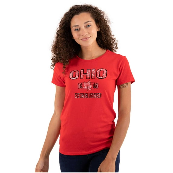 Ohio Vintage Buckeye Leaf Stencil OH Womens Fitted Plus Size Graphic Tee Brisco Brands 3X