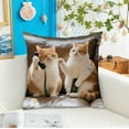 thumbnail image 1 of Ohmyroo Cute Animals Print Pillow Set 17.7x17.7 Inches Comfortable Fabric For Bedroom Living Room Sofa Cushion Decoration, 1 of 6