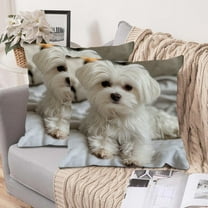 Ohmyroo Cute Animals Print Pillow Set 17.7x17.7 Inches Comfortable Fabric For Bedroom Living Room Sofa Cushion Decoration