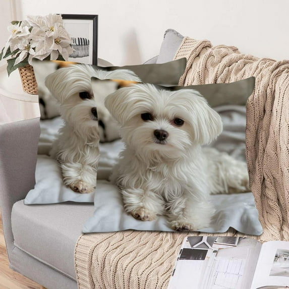 Ohmyroo Cute Animals Print Pillow Set 17.7x17.7 Inches Comfortable Fabric For Bedroom Living Room Sofa Cushion Decoration