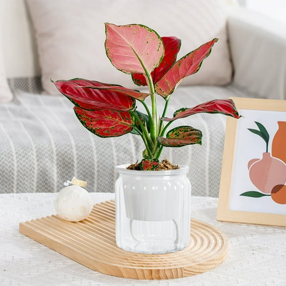 Ohmyroo Large Vertical Striped Flower Pot Durable Planter for Home Garden Indoor Outdoor Plant Growing