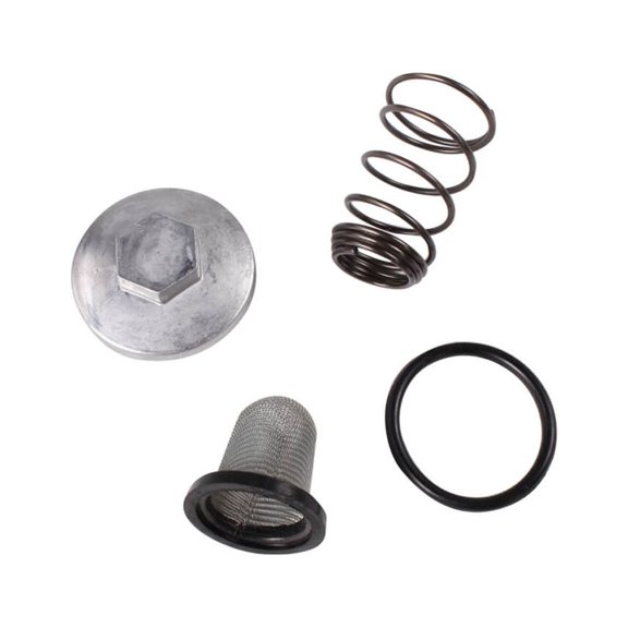 "Oil Filter Assembly; CSC go., QMB139 Scooters"
