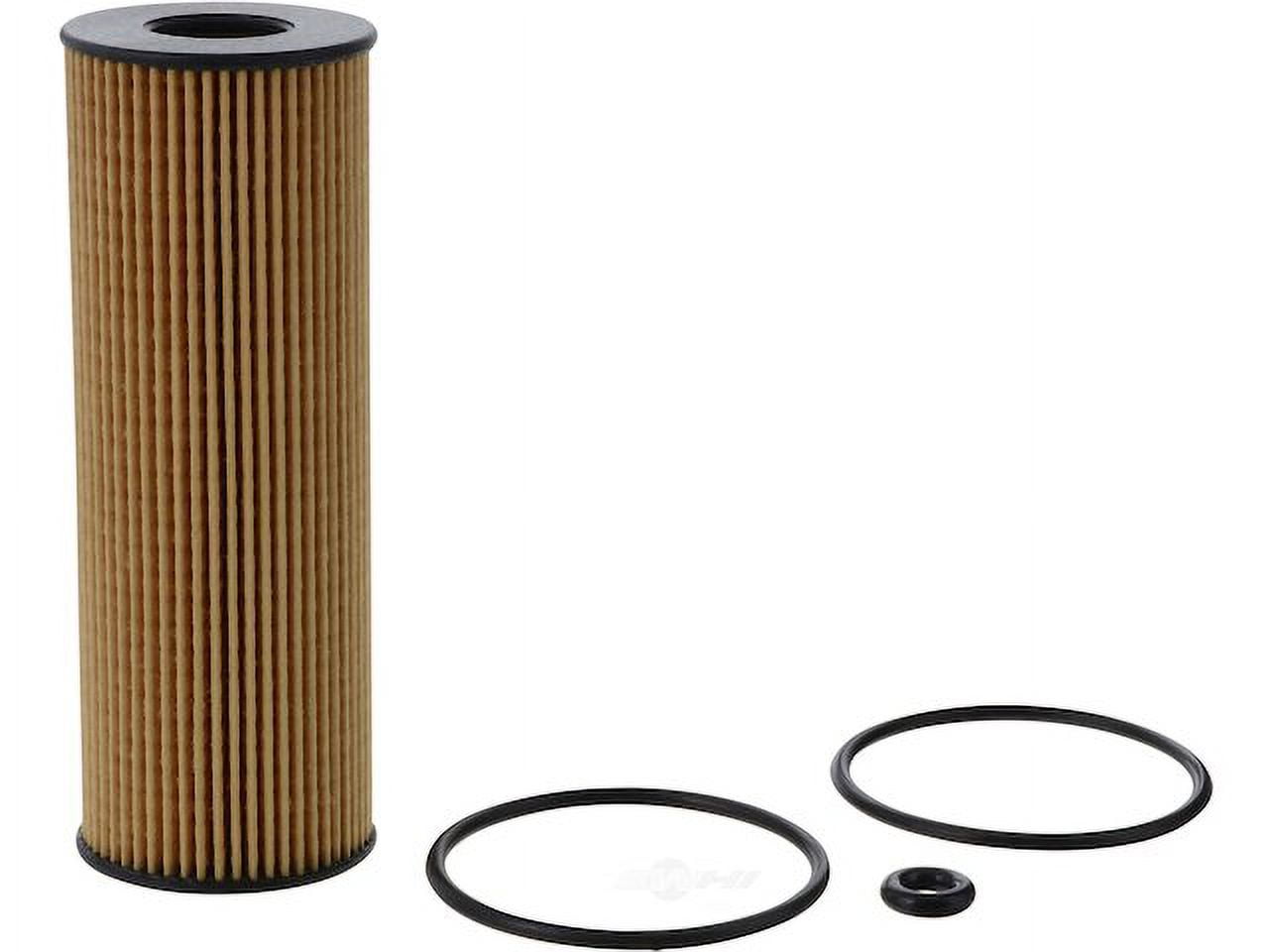 2023 Ford F150 Oil Filter