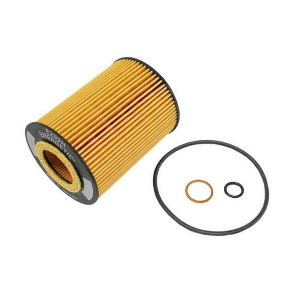 Oil Filter Kit - Compatible with 2002 - 2005 BMW 745Li 2003 2004