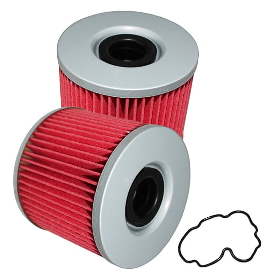 Oil Filter for Suzuki GS1100 GS1100L GS1100E GS1100G GS1100S 1980-1984 2-Pack
