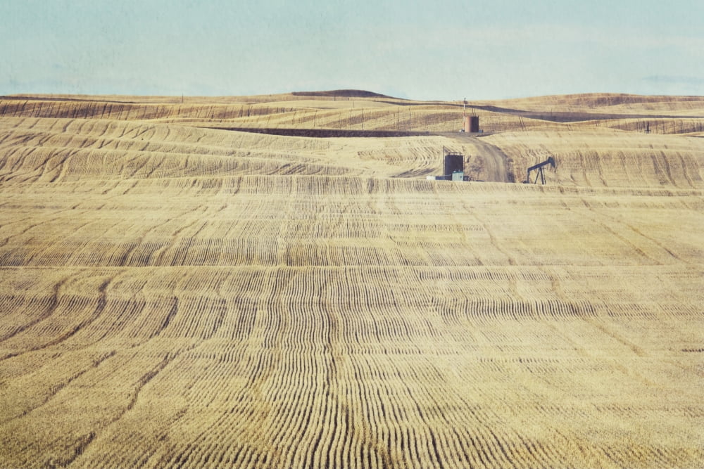 Oil and gas activity among the harvested wheat fields vulcan alberta canada Canvas Art - Roberta Murray Design Pics (38 x 24)