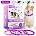 thumbnail image 1 of Oimmal Collar for Dog and Puppy, 24 Months Protection, 19inch Adjustable, Waterproof, Natural Ingredients, 4 Collars - Pink & Purple, 1 of 10