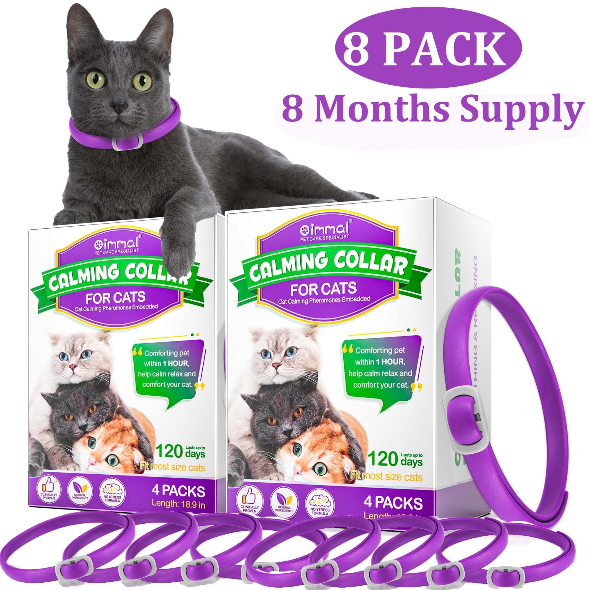Fresh Look at Oimmal Cat Calming Collar With Pheromones Relief For Kittens Comfort