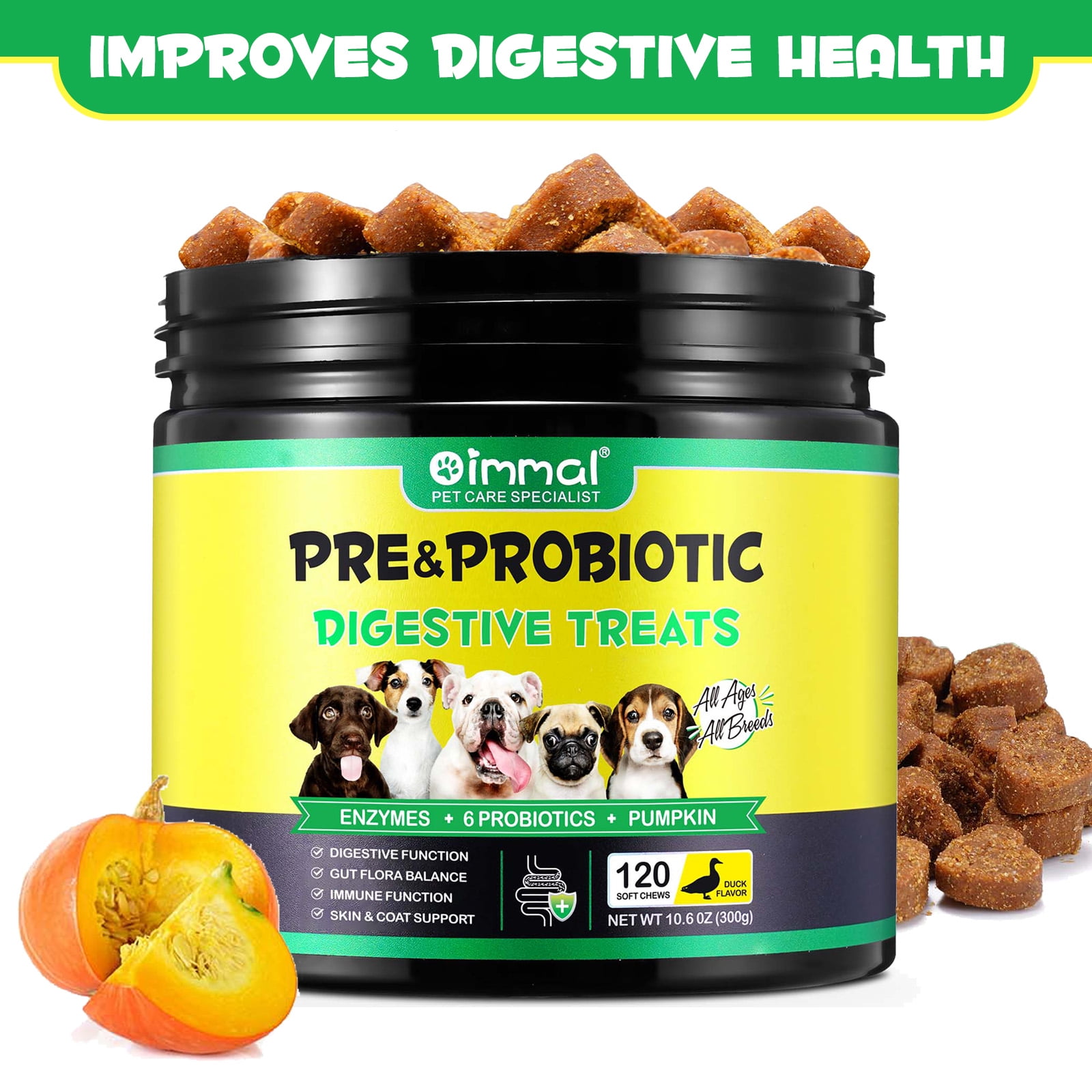 Dog Probiotics for Gut Health: Boost Your Pet's Vitality