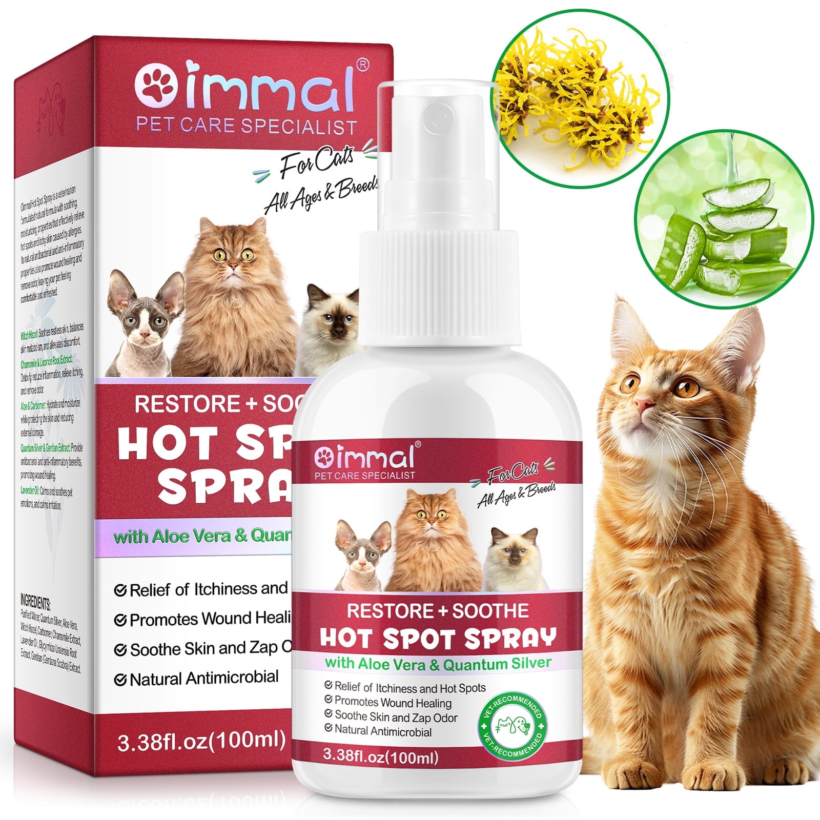 Itchy Skin Feline Dermatitis Treatment Moist Dermatitis Treatment
