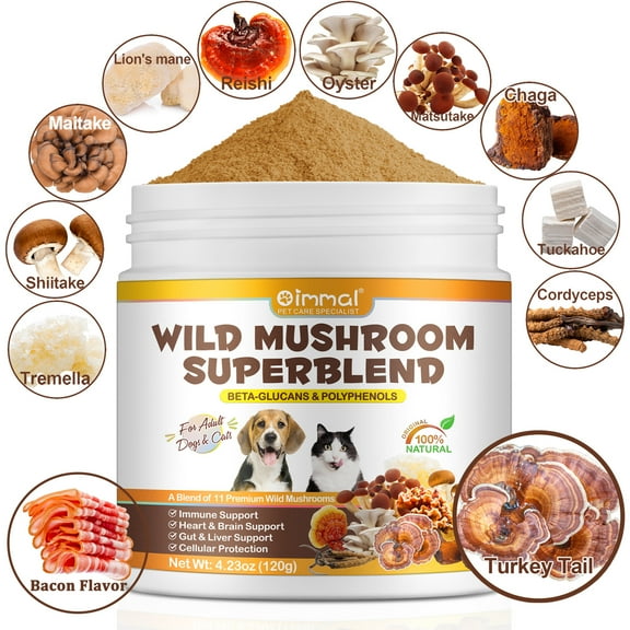 Oimmal Wild Mushroom Powder for Dogs & Cats - Immune Support & Brain Health with 11 Mushrooms & Fruiting Bodies (Turkey Tail, Reishi, Lion's Mane & Cordyceps) 100% Natural (4.5oz)
