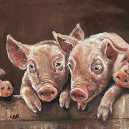 Oink Canvas Art - Louise Brown (24 x 24)