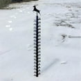 thumbnail image 1 of Oioii 36in Outdoor Iron Art Snow & Rain Gauge with Large Easy-Read Scale,Yard Ruler for Snow Depth & Rainfall, Garden Decor for Winter & Year-Round Use, A, 1 of 4