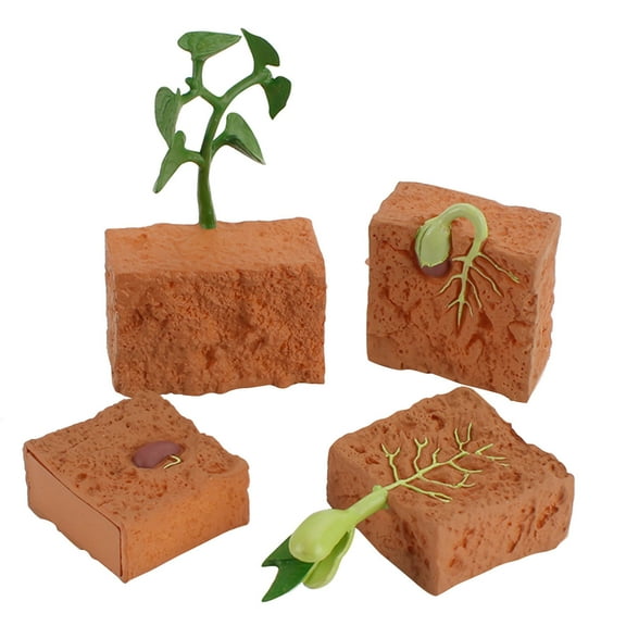 Oioii 4PCS Plant Growth Cycle Figurine Set, Educational Simulation Model Toy, Vivid Shape Preschool Learning Tool, Durable Material, for Home Decoration and Early Cognition Education,Brown