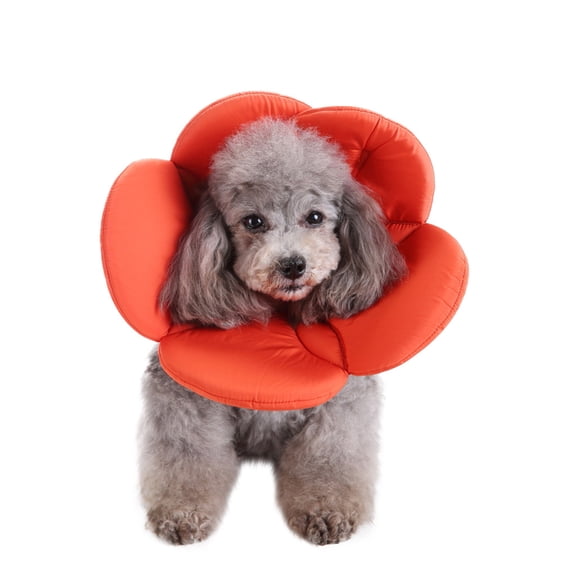 Oioii Pet Protection Collar for Dogs,Cute Flower Design Recovery Collar,Protective Elizabethan Collar To Prevent Licking and Biting,Comfortable and Lightweight for Wound Healing and Daily Care,S