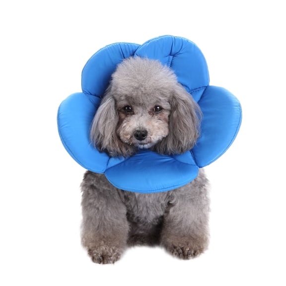Oioii Pet Protection Collar for Dogs,Cute Flower Design Recovery Collar,Protective Elizabethan Collar To Prevent Licking and Biting,Comfortable and Lightweight for Wound Healing and Daily Care,S
