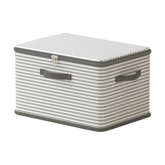 Oioii Portable Wardrobe Sorting Storage Bag and Box Set, Foldable Organizer for Winter Clothes and Cup Storage Indoor, Home Essentials, Household Items, 2XL