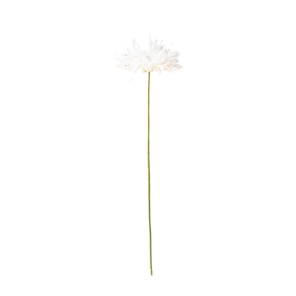 Oioii Realistic Artificial Transvaal Gerbera, One Stemmed Fake Flower for Home Decor Wedding Bouquets and Table Centerpieces, 17.7 Inches Tall,White