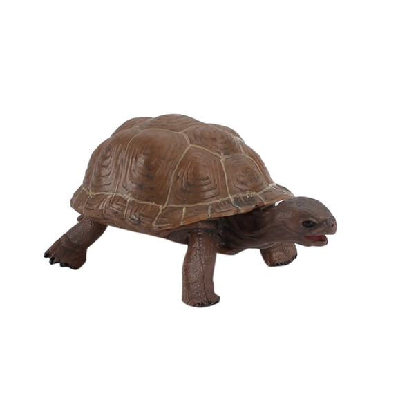 Oioii Tortoise Figurines Ornament, Preschool Educational Home Decor, Realistic Animal Statue, Exquisite Tabletop Decor & Enlightenment Play Accessory,A