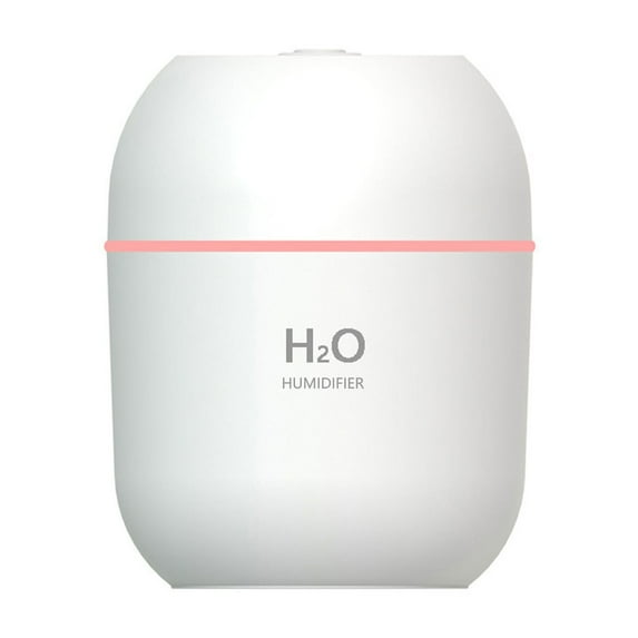 Oioii USB Rechargeable Humidifier, Portable Cool Mist Sprayer for Home Office Desktop, Quiet Hydrating Device for Bedroom, Travel & Plants, USB Powered Mini Humidifier,White