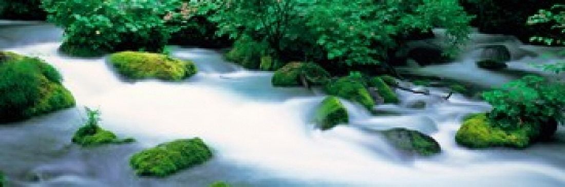 Oirase ravine Aomori Towadako-cho Japan Canvas Art - Panoramic Images (36 x 12)